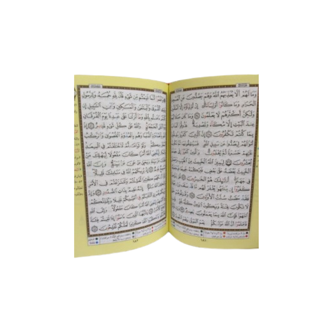 Quran Misri Std